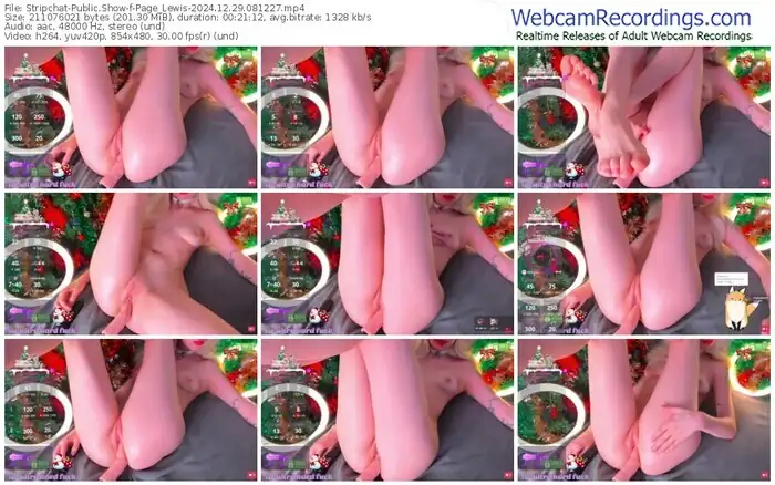 2024/12/29/stripchat-page_lewis-08-12-27