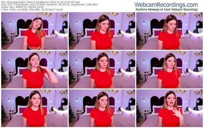 2024/12/29/stripchat-zarabloom-01-31-18