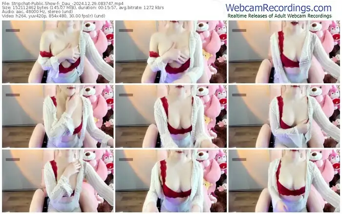 2024/12/29/stripchat-_dau_-08-37-47