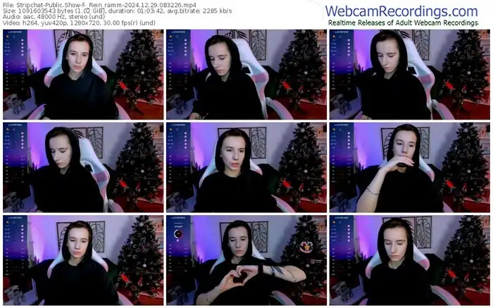 2024/12/29/stripchat-_rein_ramm-08-32-26