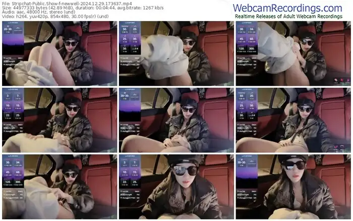 2024/12/29/stripchat-newwell-17-36-37