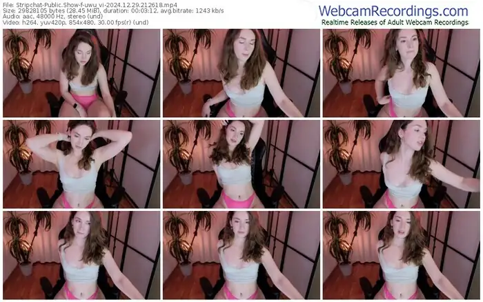 2024/12/29/stripchat-uwu_vi-21-26-18