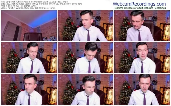 2024/12/29/stripchat-stevetiger-14-26-31