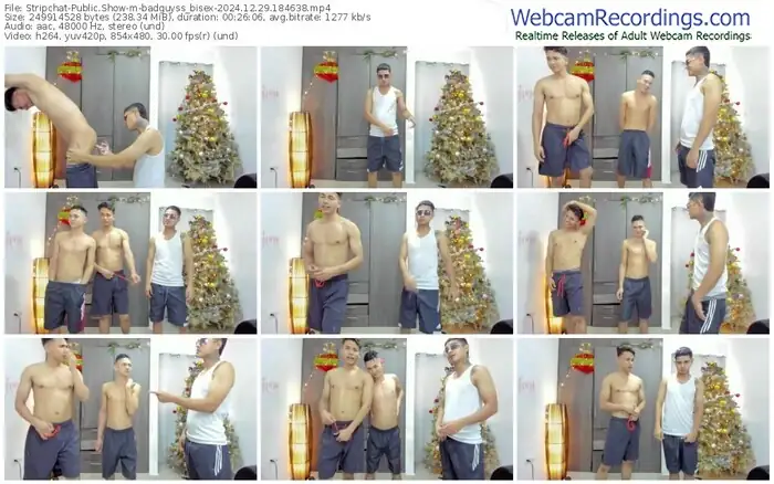2024/12/29/stripchat-badguyss_bisex-18-46-38