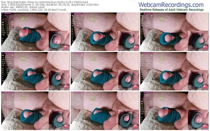 2024/12/29/stripchat-controlmytoys-13-36-56