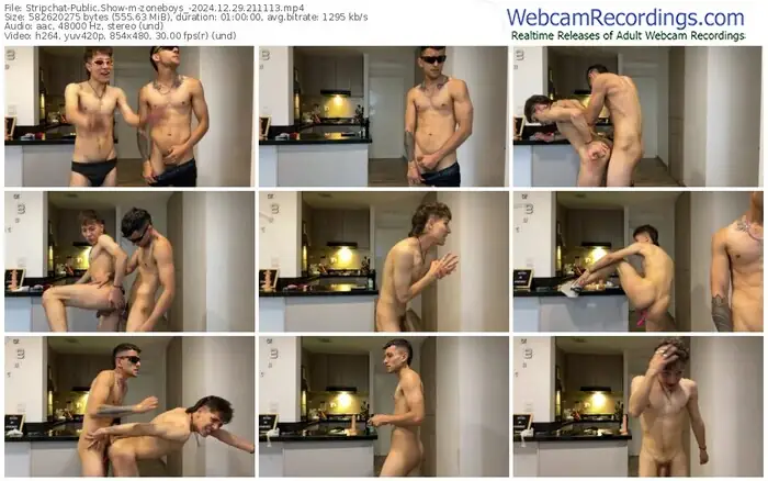 2024/12/29/stripchat-zoneboys_-21-11-13