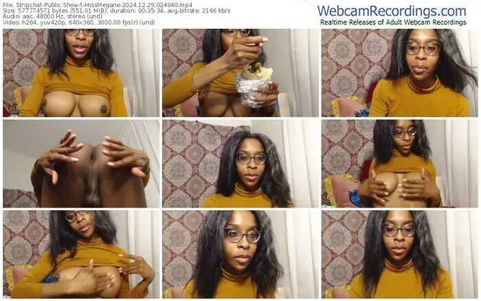 2024/12/29/stripchat-missmegane-02-49-40