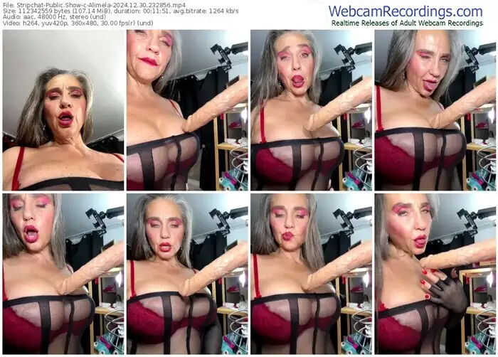 2024/12/30/stripchat-alimela-23-28-56