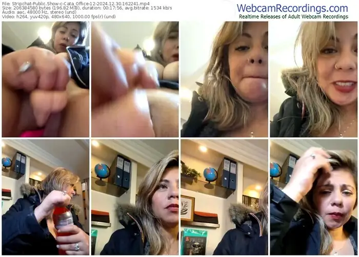 2024/12/30/stripchat-cata_office-12-16-22-41