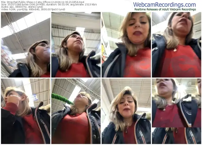 2024/12/30/stripchat-cata_office-12-21-18-54