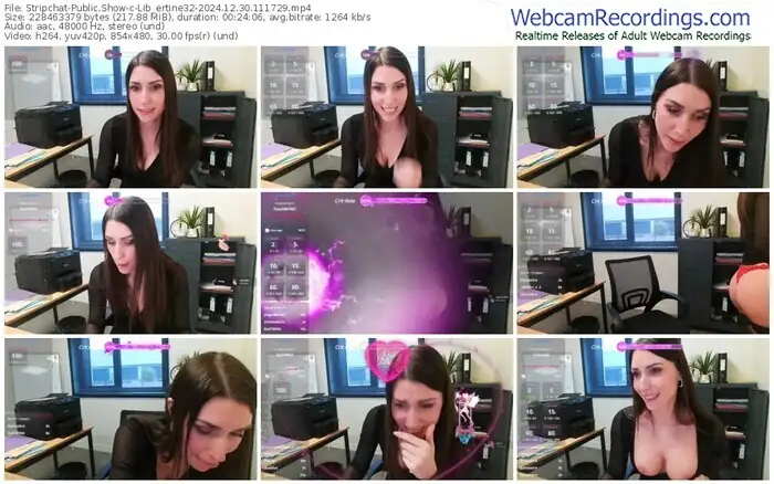 2024/12/30/stripchat-lib_ertine32-11-17-29