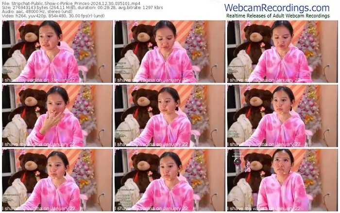 2024/12/30/stripchat-pinkie_princes-03-51-01