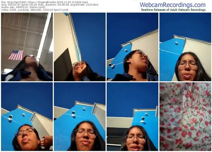 2024/12/30/stripchat-sheenabrooke-21-26-26