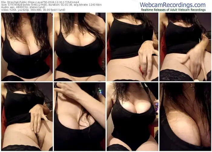 2024/12/30/stripchat-eva750-17-15-43