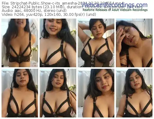 2024/12/30/stripchat-its_amesha-20-45-54