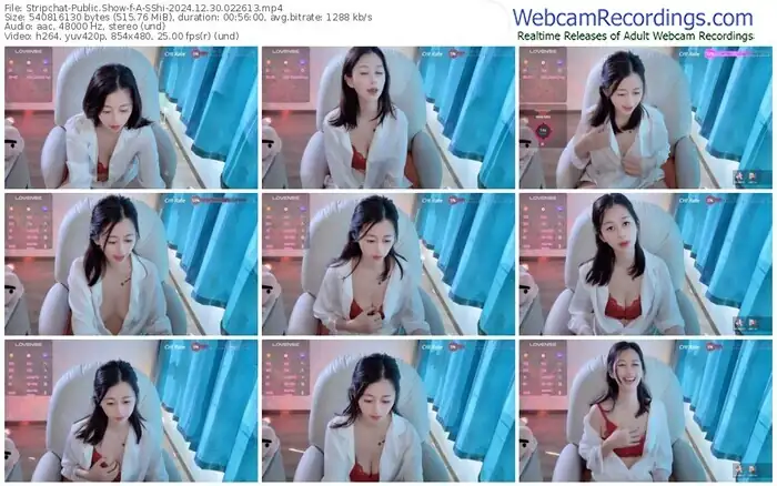 2024/12/30/stripchat-a-sshi-02-26-13