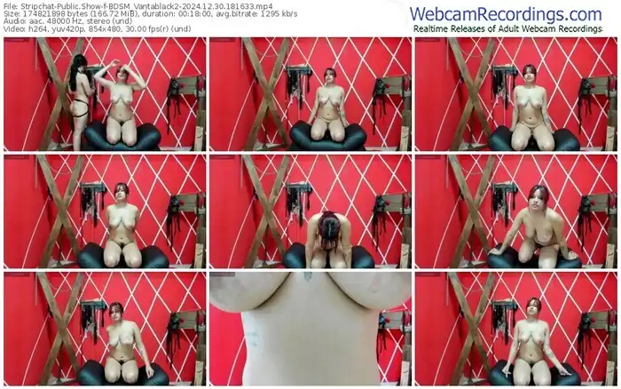 2024/12/30/stripchat-bdsm_vantablack2-18-16-33