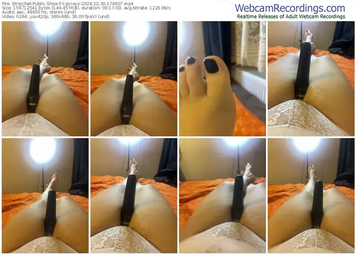 2024/12/30/stripchat-ceyceys-17-46-07