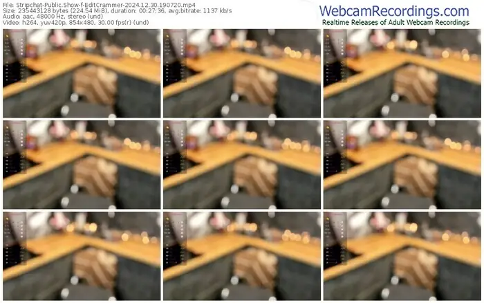 2024/12/30/stripchat-editcrammer-19-07-20