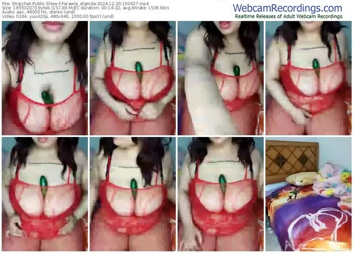 2024/12/30/stripchat-farawla_elgmda-10-04-27