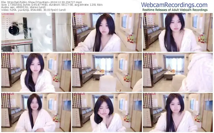 2024/12/30/stripchat-fountain--23-47-27