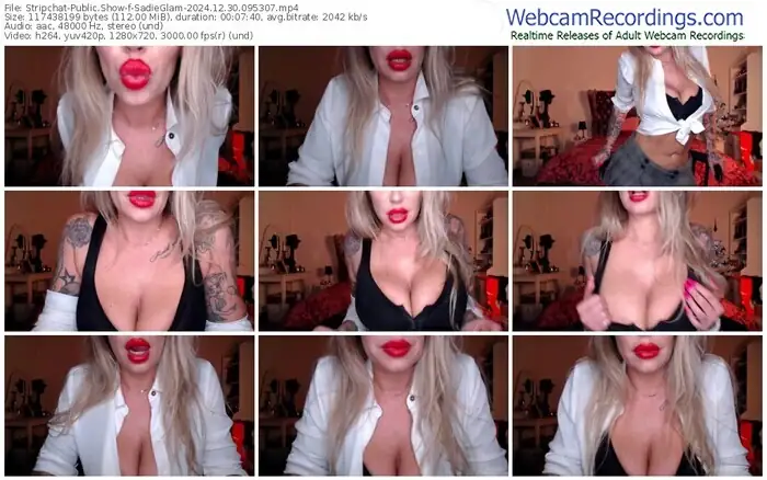 2024/12/30/stripchat-sadieglam-09-53-07