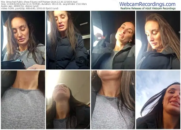 2024/12/30/stripchat-busty-milf-harper-11-56-34