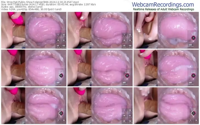 2024/12/30/stripchat-danigirl866-21-45-47
