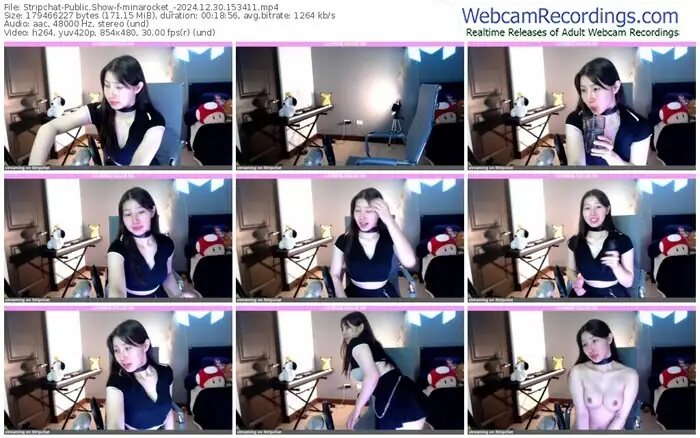 2024/12/30/stripchat-minarocket_-15-34-11