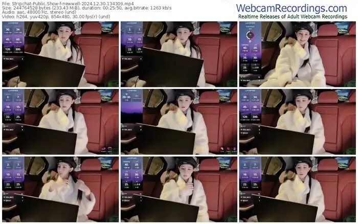 2024/12/30/stripchat-newwell-13-43-09
