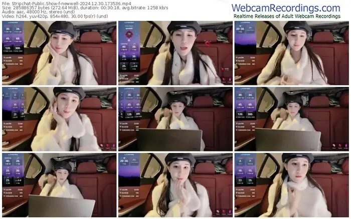 2024/12/30/stripchat-newwell-17-35-36