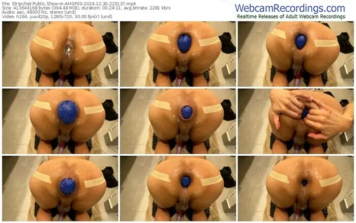 2024/12/30/stripchat-ahgp00-22-31-37