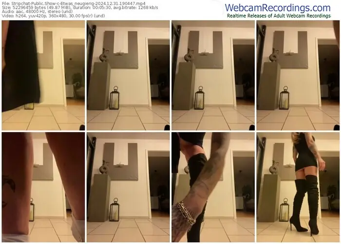 2024/12/31/stripchat-etwas_neugierig-19-04-47