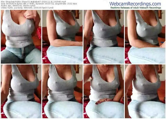 2024/12/31/stripchat-catababa67-10-29-40