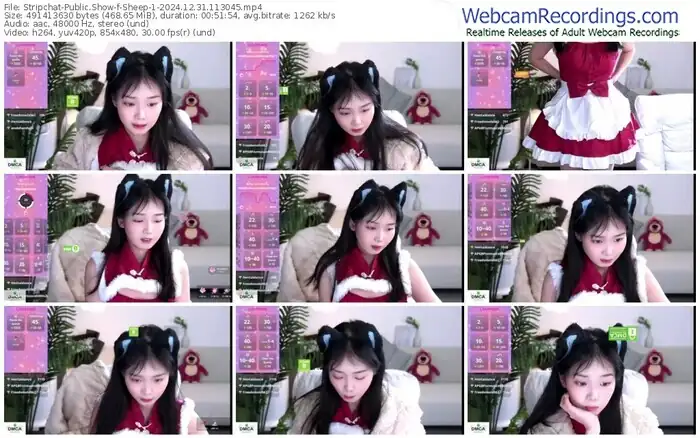 2024/12/31/stripchat-sheep-1-11-30-45