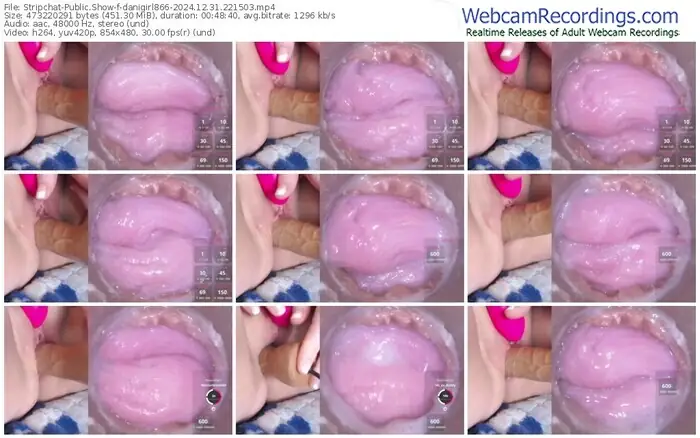 2024/12/31/stripchat-danigirl866-22-15-03