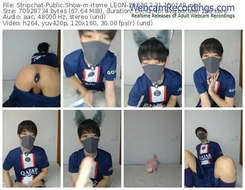 2024/12/31/stripchat-itsme_leon-15-01-48