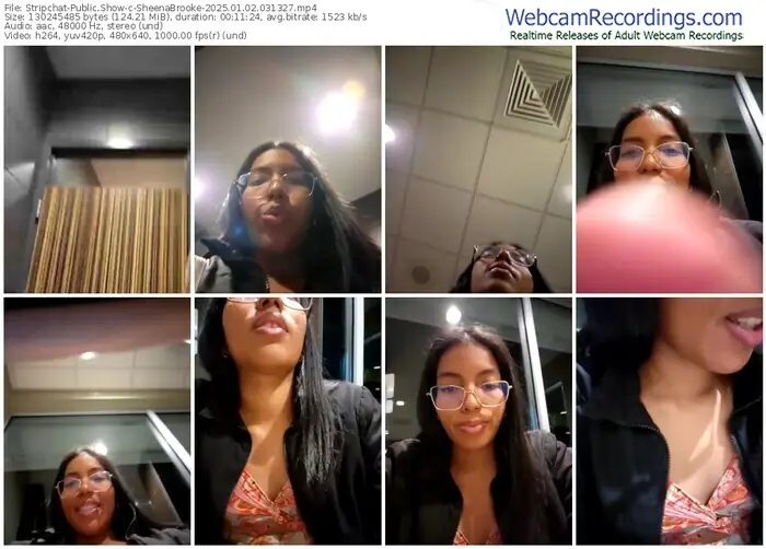 2025/01/02/stripchat-sheenabrooke-03-13-27