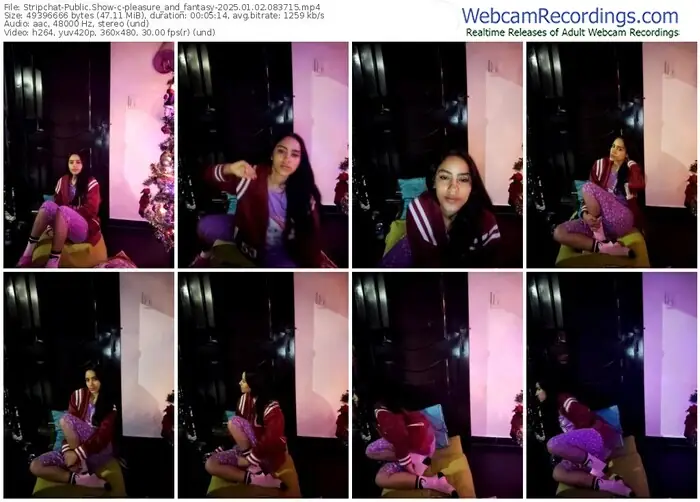 2025/01/02/stripchat-pleasure_and_fantasy-08-37-15