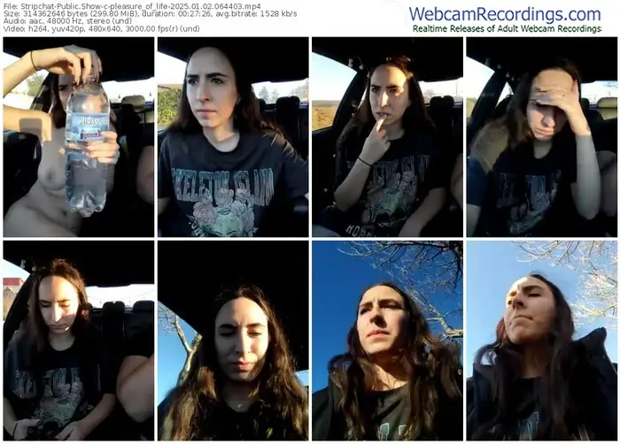 2025/01/02/stripchat-pleasure_of_life-06-44-03