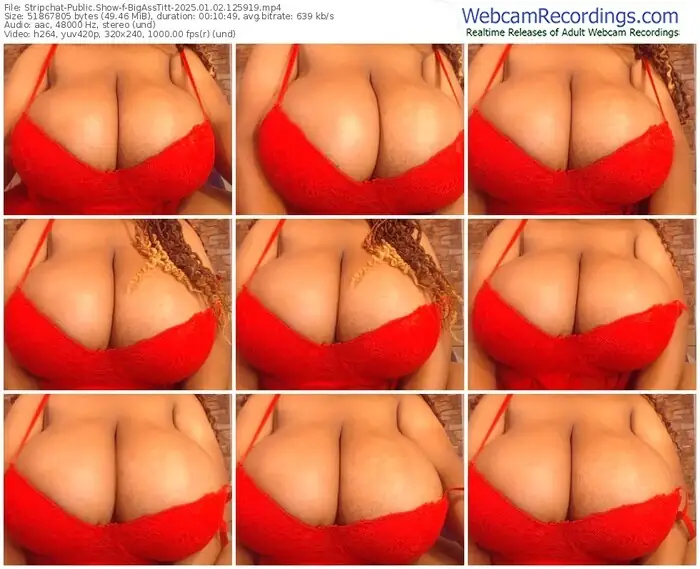 2025/01/02/stripchat-bigasstitt-12-59-19