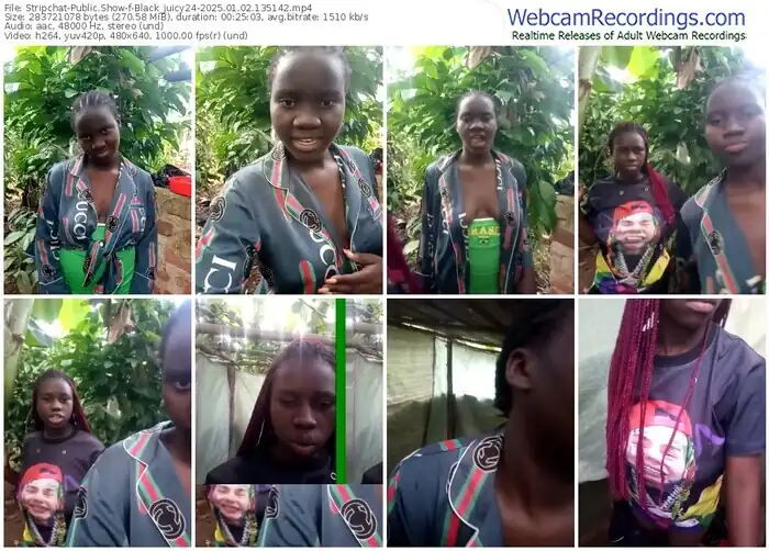 2025/01/02/stripchat-black_juicy24-13-51-42