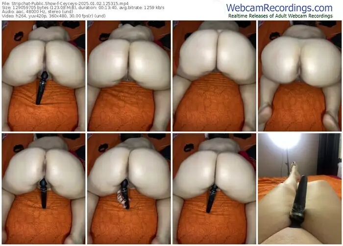 2025/01/02/stripchat-ceyceys-12-53-15