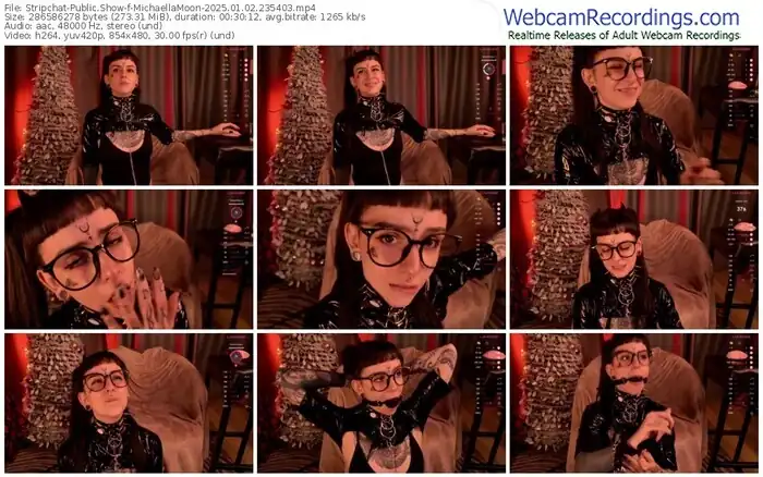 2025/01/02/stripchat-michaellamoon-23-54-03
