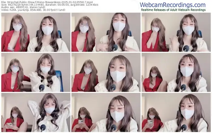 2025/01/02/stripchat-mono-stewardesss-05-59-17
