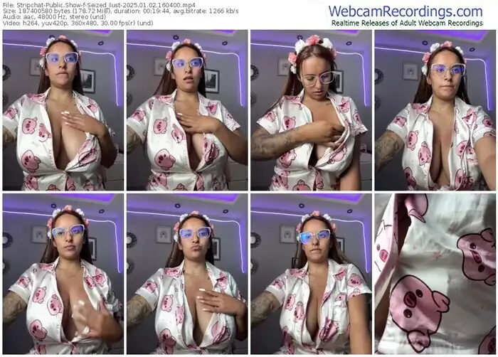 2025/01/02/stripchat-seized_lust-16-04-00