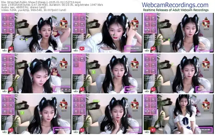 2025/01/02/stripchat-sheep-1-15-27-53