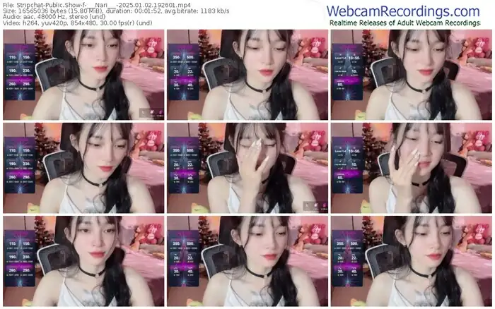2025/01/02/stripchat-___nari___-19-26-01
