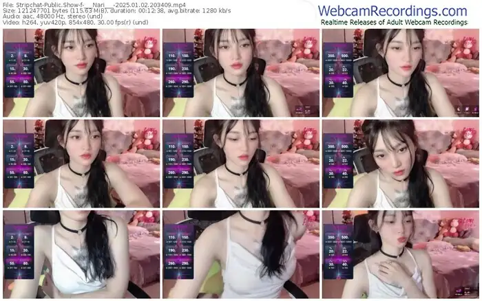 2025/01/02/stripchat-___nari___-20-34-09