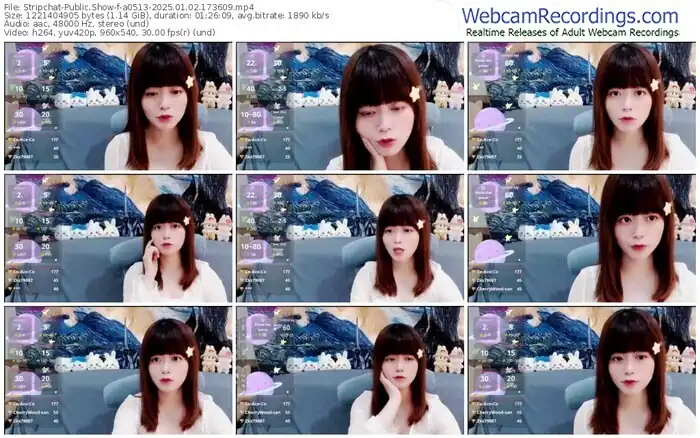 2025/01/02/stripchat-a0513-17-36-09